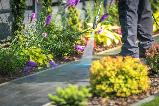 Rutledge, GA Pressure Washing Services Company