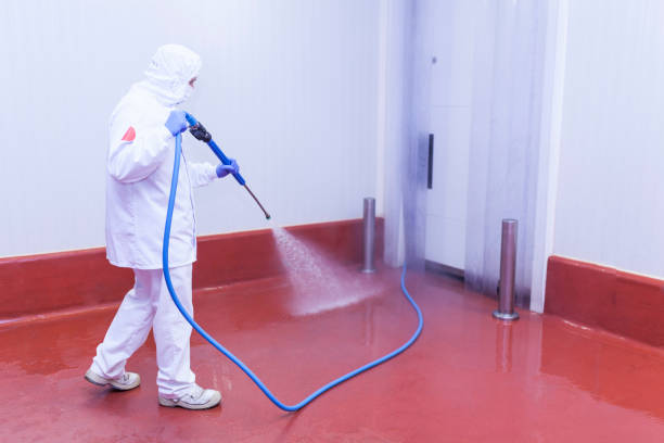 Best Sidewalk and Walkway Cleaning  in Rutledge, GA
